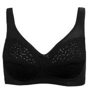 Damella BH Classic Soft Lace Bra Svart A 85 Dam