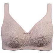 Damella BH Classic Soft Lace Bra Puder A 80 Dam