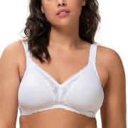 Triumph BH Modern Lace Cotton Soft Bra Vit B 110 Dam