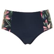 Missya Milano Bikini Maxi Brief Blå/Rosa 40 Dam