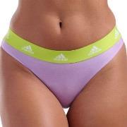 adidas Trosor 3P Sport Cotton Logo Thong Lila/Svart bomull X-Large Dam