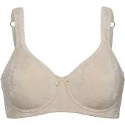 Swegmark BH Adamo Padded Soft Wired Bra Beige C 85 Dam