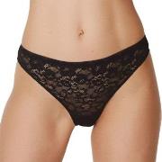 Marie Jo Trosor Color Studio Lace Thong Svart 38 Dam