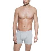 Bread and Boxers Boxer Brief Kalsonger 5P Grå ekologisk bomull X-Small...