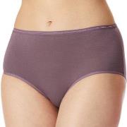 Schiesser Trosor 2P Modal Essentials Midi Briefs Lila/Svart bomull 44 ...