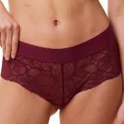 Triumph Trosor Body Make-Up Illusion Lace Shorty Vinröd 38 Dam