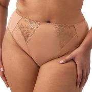 Elomi Trosor Zarla High Leg Brief Beige polyamid Large Dam