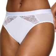 Wild Azalea Florale Tai Trosor Vit 36 Dam