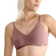Sloggi BH GO Daily Cotton Soft Bra Mörkrosa X-Large Dam