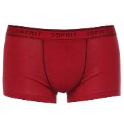 Esprit Kalsonger 3P Cole Hipster Shorts Blå/Röd bomull X-Large Herr