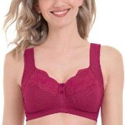 Anita BH Orely Support Bra Cherry nylon G 100 Dam