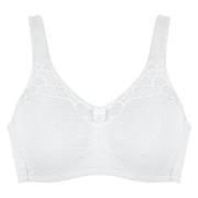 NATURANA BH Molded Cotton Soft Bra Vit bomull C 80 Dam