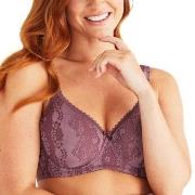 Swegmark BH Adorable Padded Soft Wired Bra Plommon C 70 Dam