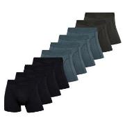 Claudio Kalsonger 10P Trunks Extra Flerfärgad-2 Small Herr