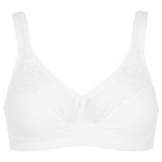 Damella BH Felice Soft Bra Vit bomull B 100 Dam