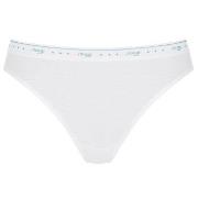 Sloggi Trosor 3P 24 7 100 Tai Briefs Vit bomull 42 Dam