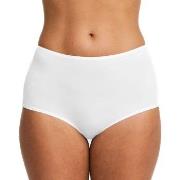 Swegmark Trosor Essence Maxi Briefs Modal Vit modal Large Dam