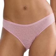 Triumph Trosor Signature Sheer Tai Brief Gammelrosa 36 Dam