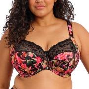 Elomi BH Morgan Banded Bra Blommig K 75 Dam
