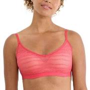 Sloggi BH FREE Evolve Lace Push-Up Bra Rosa Sloggi 01 Dam