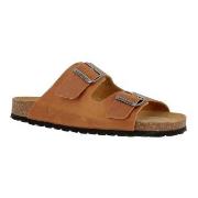 Axelda Andrea Kamel Strl 37