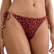 Triumph Midnight Swim Brazilian Bikini Bottom Röd/svart 40 Dam