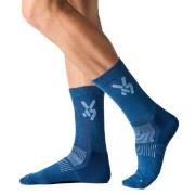 Seger Strumpor Glide Wool Ski Socks Marin/Blå Strl 46/48