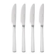 Aida - Groovy kniv 4-pack polerad