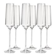 Anders Petter - Celebration champagneglas 19 cl 6-pack klar