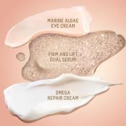 Omega Anchor Set- NO VS