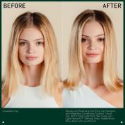 Aveda Rosemary Mint Duo- Shampoo & Conditioner