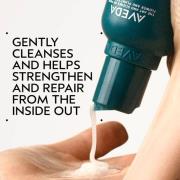 Aveda Botanical Repair Routine