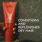 Aveda Nutriplenish Deep Moisture Conditioner 50ml