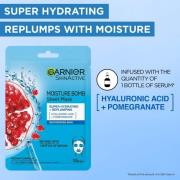 Garnier Moisture Bomb Pomegranate Hydrating Face Sheet Mask