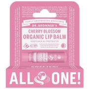 Dr. Bronner's Cherry Blossom Organic Lip Balm Hang Pack