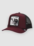 Goorin Bros The Cash Cow Keps wine red