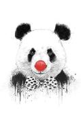 Poster Clown Panda