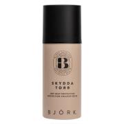 Björk Skydda Torr Mini 100 ml