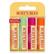 Burt's Bees Lip Balm 4 Pack Freshly Picked 4 st