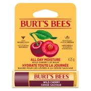 Burt's Bees läppbalsam Wild Cherry Blister 4,25 g