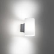 AILATI LED-utomhusvägglampa Bianca, mörkgrå, plast