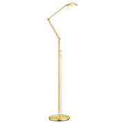Knapstein LED-golvlampa Carl, mässingsfärgad, justerbar, dimbar