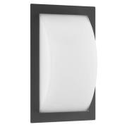 LCD Ivett LED-utomhusvägglampa, grafit, rörelsevakt