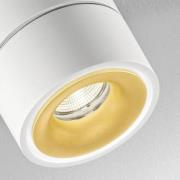 Egger Licht EGG DLS LED-spot Clippo Duo, vit-guld, 3 000K