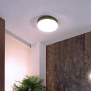 Deko-Light LED-taklampa Menkar, silver