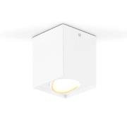 EVN Kardanus LED-taklampa 9x9cm vit