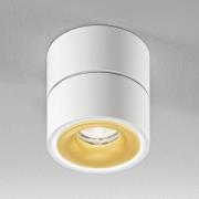 Egger Licht Egger Clippo S LED-takspotlight, vit guld