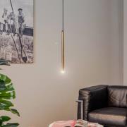 Eko-Light Hänglampa Monza svart/guld, 1 lampa