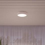 TEMAR LIGHTING Taklampa Cleo, Ø 50 cm, IP54, vit, metall, E27
