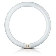 Philips G10q 22W 840 lysrörsring Master Circular TL-E